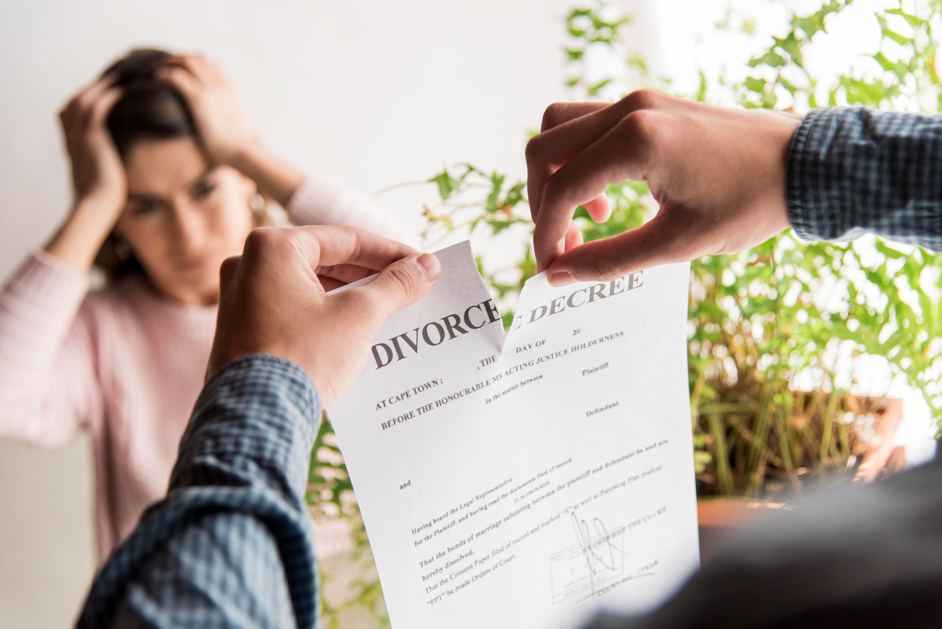 11Divorce Appeal